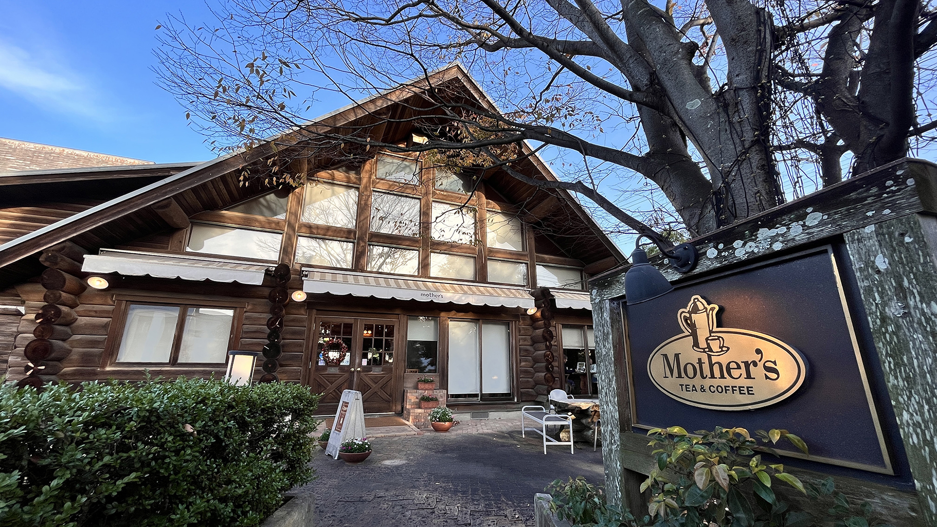 noonさま　専門 noon clear handle cup